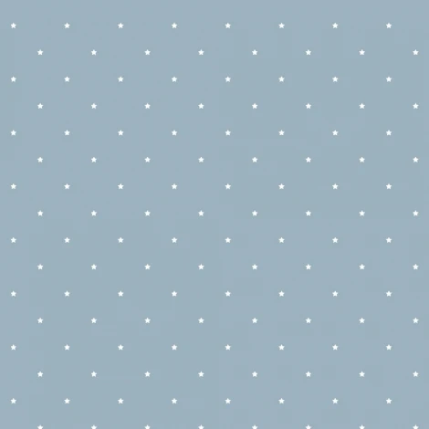 Рулонные обои Grandeco Jack' n Rose Junior JR 1104