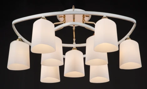 Потолочная люстра Maytoni Eurosize 6 TOC006-09-G