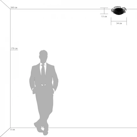 Потолочный светильник круглый Lightstar Murano 601033 (220V)