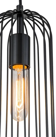 Подвесной светильник Escada Phoenix 10198/1S 1х60Вт Е27, металл, черный (220V, на проводе, круглые)