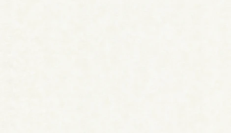 Обои виниловые Marburg Natural Vibes 32379 10,05 x 1,06 м