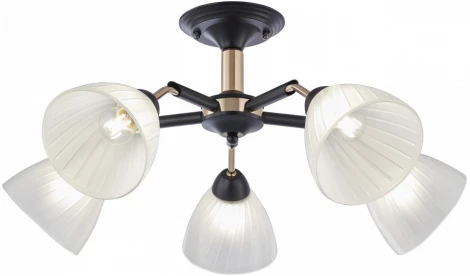 Потолочная люстра на штанге Arte Milano Napoli 324108/5 BK+FG (220V)