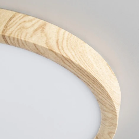 Настенно-потолочный светильник Citilux Бейсик CL738182V (регулировка яркости, LED, 220V, круглые, IP40)