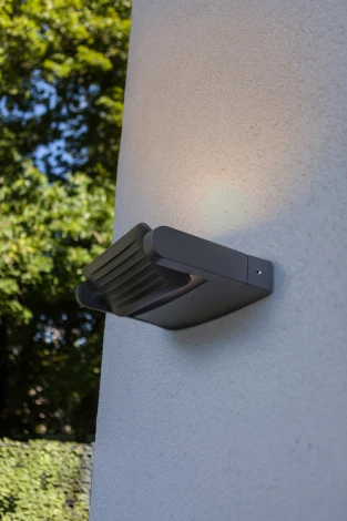 Настенный светильник уличный Oasis Light W6144S-1