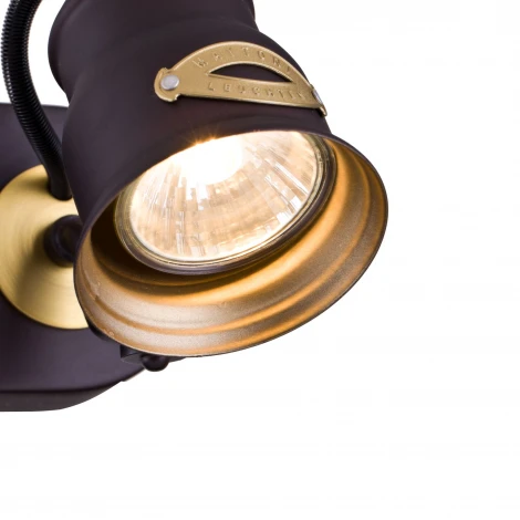 Спот Maytoni Borgo SP315-CW-02-BR