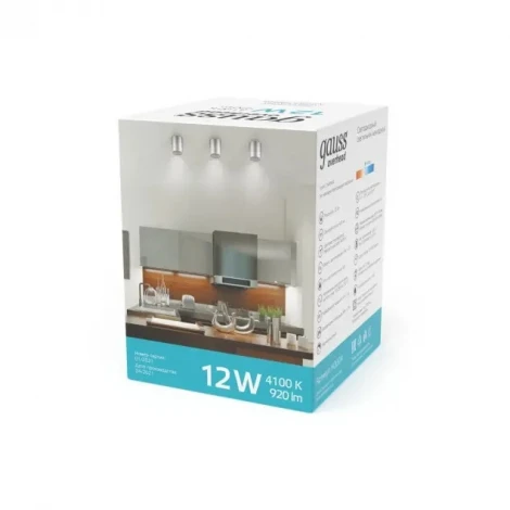 Накладной точечный светильник Gauss HD004 (LED, 220V, круглые)