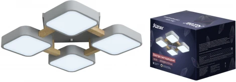 Потолочный светодиодный светильник Ritter Scandia 52073 3