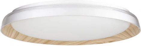 Потолочный светильник RGB круглый светодиодный с пультом Citilux Mega CL752452G (220V, круглые)