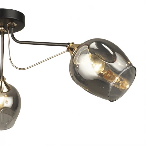 Потолочная люстра Wedo Light Nomalio 66557.01.15.03