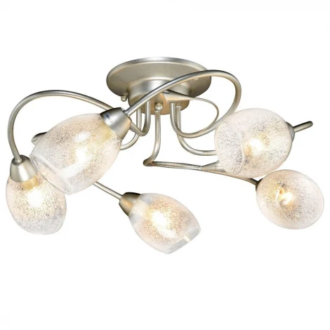 Максисвет 1-8793-5-YNBR E14