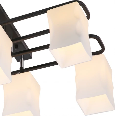 Потолочная люстра на штанге Reluce 06595-0.3-06 (220V)