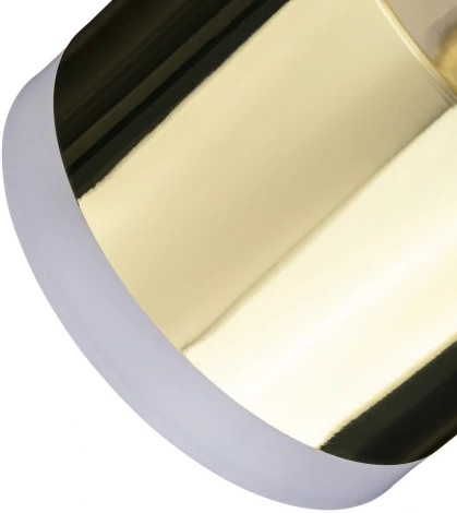 Трековый светильник однофазный 220V Ritter Artline 59864 4