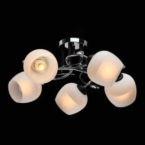 Потолочная люстра MW-Light Грация 677013805