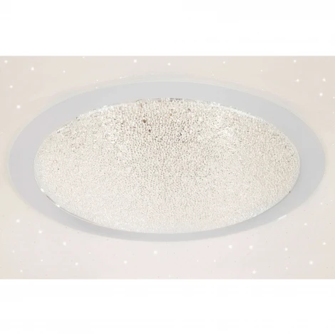 Потолочный светильник Elektrostandard Shine 40011/1 LED
