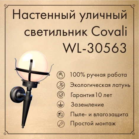 Настенный фонарь уличный Covali WL-30563 (220V, IP54)