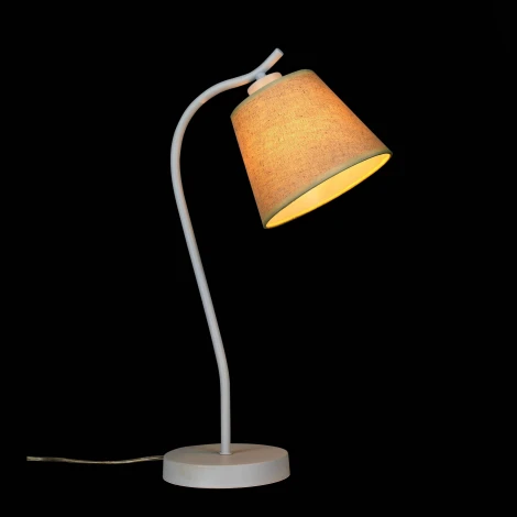 Интерьерная настольная лампа ST Luce Tabella SL964.504.01