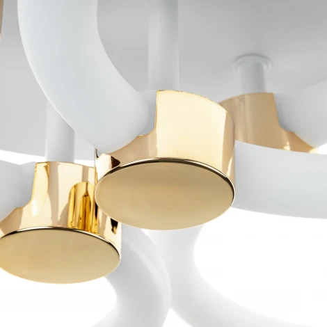 Потолочная люстра светодиодная с ДУ Ritter Ottimo 51612 9