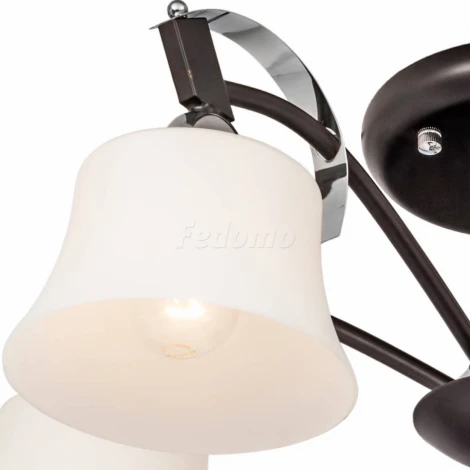 Потолочная люстра Silver Light Assol 231.59.5