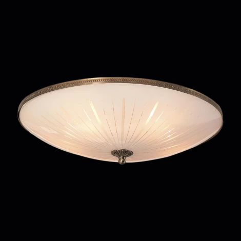 Потолочный светильник Citilux 912 CL912501