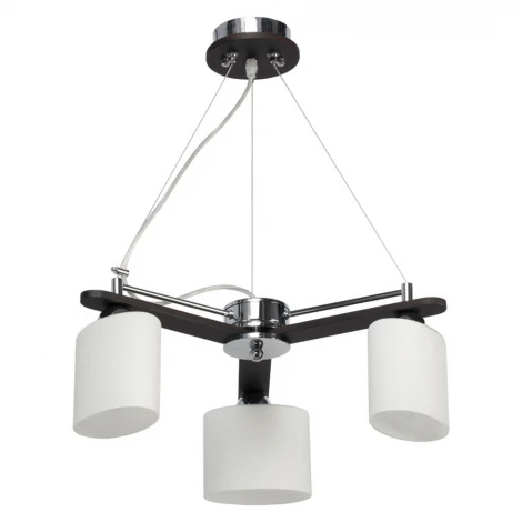 Подвесная люстра MW-Light Николь 364012403