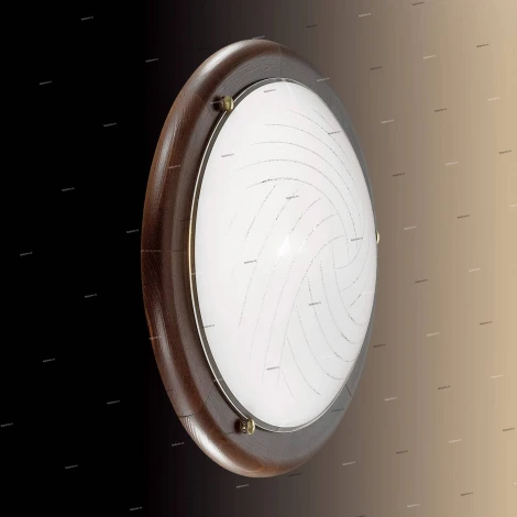 Настенно-потолочный светильник Sonex Vira 258
