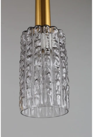 Подвесной светильник Aployt Henrite APL.310.13.05 (220V, на проводе)