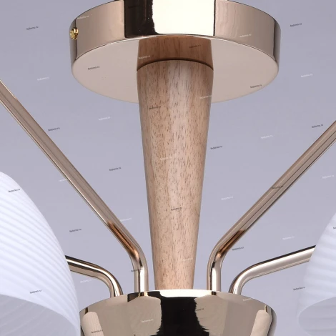 Потолочная люстра MW-Light Николь 364014105