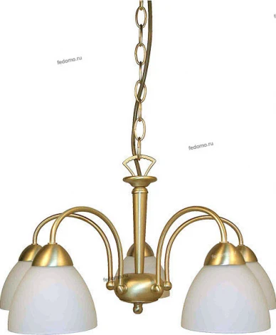 Snowlight 1703528/5P