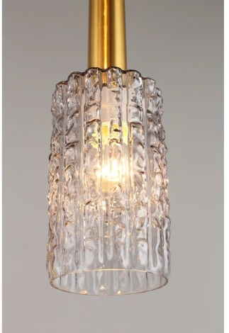 Подвесной светильник Aployt Henrite APL.310.13.05 (220V, на проводе)