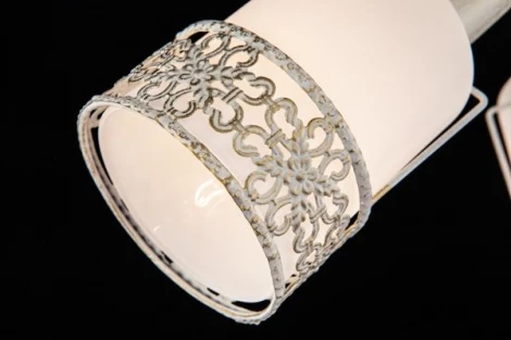 Спот Eurosvet 20025-20026 20026/3 белый с золотом (220V, круглые)