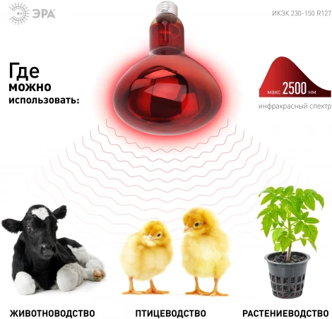 Инфракрасная лампа ЗРА ИКЗК 230-150 R127 E27 для обогрева животных и освещения 150 Вт ЭРА
