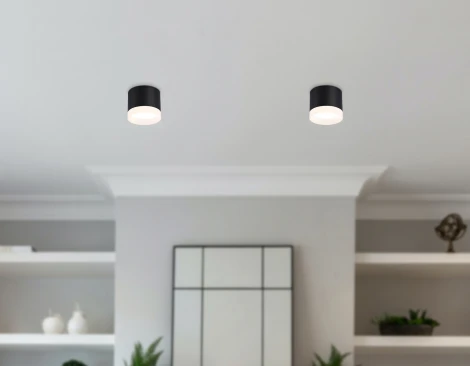 Накладной точечный светильник Ambrella Techno Spot TN5366 (220V, круглые)