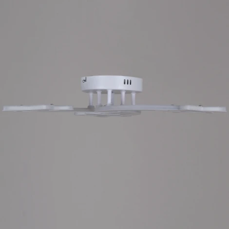 Потолочная люстра светодиодная на штанге с пультом с регулировкой цветовой температуры, яркости и с ночным режимом Reluce 01150-0.3-03 WH