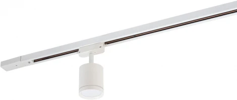 Трековый светильник Denkirs DK640 DK6401-WH (LED, 220V, круглые)