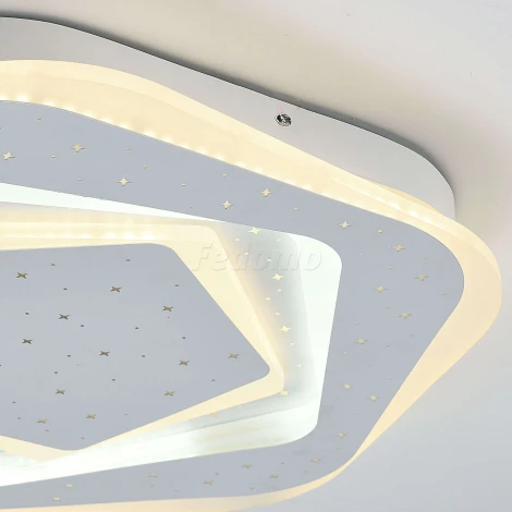 Потолочный светильник F-Promo Ledolution 2281-5C