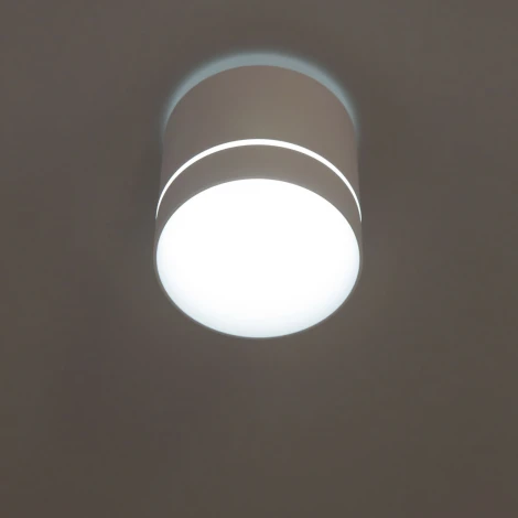 Накладной точечный светильник Citilux Борн CL745020N (LED, 220V, диммер, круглые)