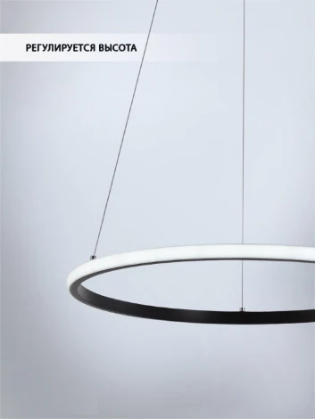 Подвесной светильник Wedo Light Lisel WD6021/1P-BK