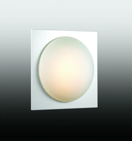 Настенно-потолочный светильник Odeon Light Brido 2762/1C