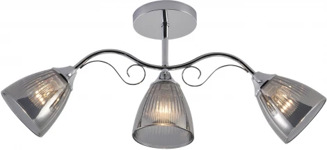 Потолочная люстра на штанге Reluce 01542-0.3-03 CR (220V)