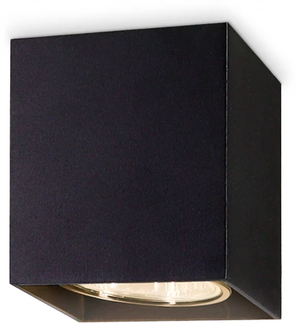 Точечный накладной светильник TECHNO SPOT TN213141 (220V)