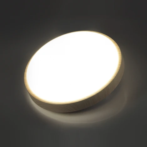 Настенно-потолочный светильник Losta 7607/CL Sonex (LED, 220V, круглые, IP43)