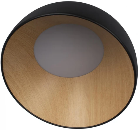 Потолочный светильник круглый Loft It Egg 10197/350 Black (LED, 220V, круглые)