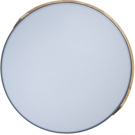 Потолочный светильник круглый Loft IT Axel 10004/36 Grey (LED, 220V, круглые)