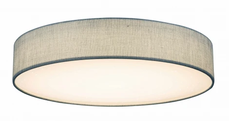 Потолочный светильник Globo Paco 15185D4