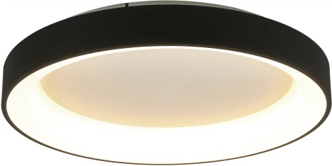 Потолочный светильник круглый Mantra Niseko 8639 (регулировка яркости, LED, 220V, пульт управления, круглые)