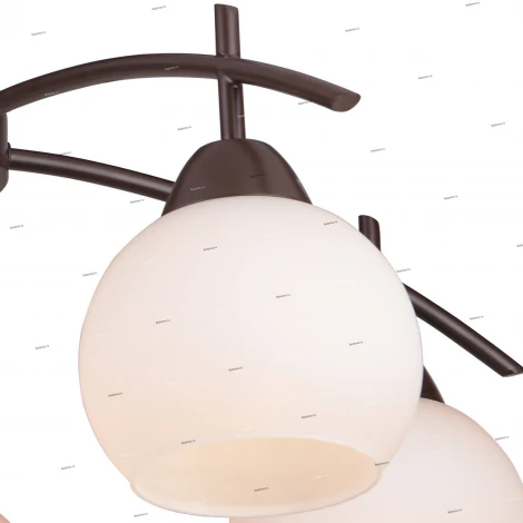 Потолочная люстра Toplight Molly TL3770X-05DB
