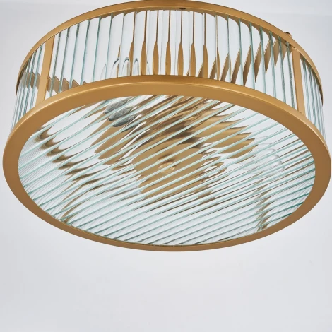 Подвесная люстра Radiales 3099-3P Favourite (220V, круглые)