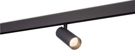 Трековый светильник магнитный 48V 20W Donolux Alpha DL20295WW20B (LED, круглые)