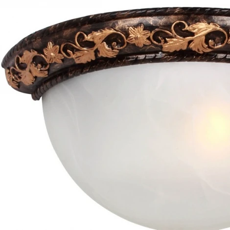 Настенный светильник Favourite Plafond 1445-1W