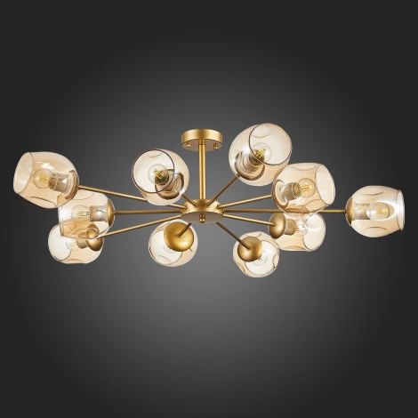Потолочная люстра Evoluce Pallo SLE155412-10